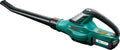 Bosch Home and Garden Bosch Akku Laubbläser ALB 36 LI (Akku, Ladegerät, Karton, Luftgeschwindigkeit: 180-260 km/h, 36 Volt System, 2,0 Ah), Schwarz, Grün, Silber