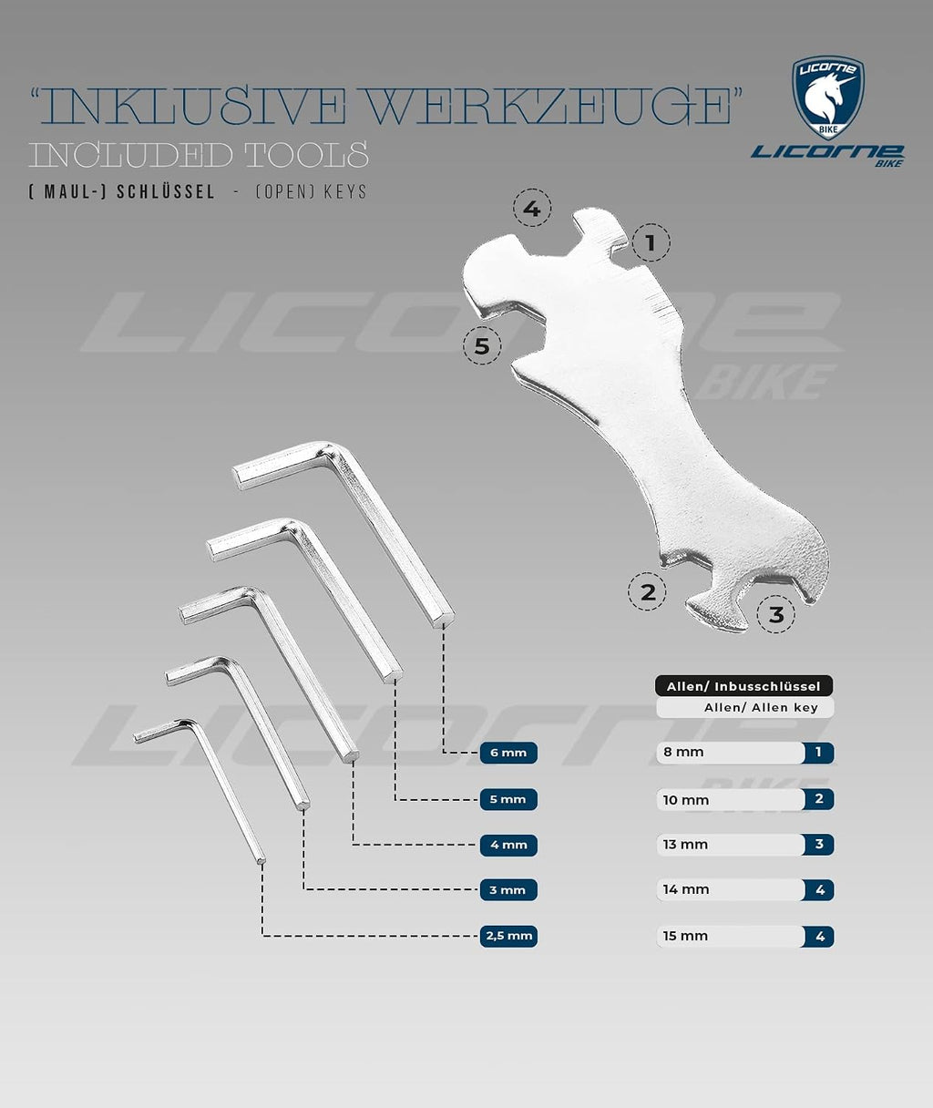 Licorne Bike Premium Touring Trekking Bike in 28 Zoll Aluminium Scheibenbremse Fahrrad für Jungen, Mädchen, Damen und Herren - 21 Gang-Schaltung - Mountainbike - Crossbike