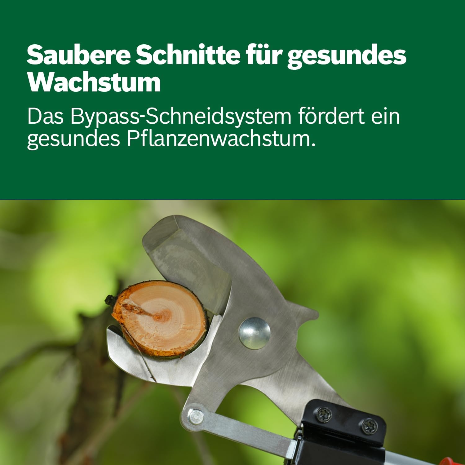 Bosch Akku-Gartenschere AdvancedPrune 18V-45 (für müheloses Schneiden von Ästen bis 45 mm; 18-Volt-System; bis zu 600 Schnitte; mit Verlängerungsstange, ohne Akku oder Ladegerät)