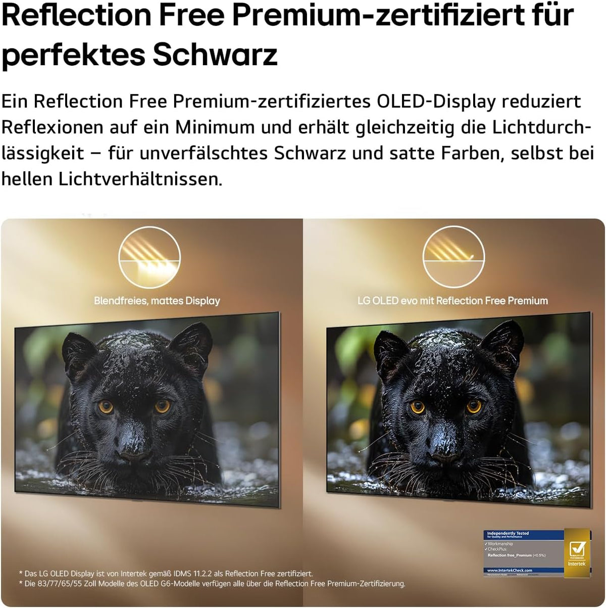 LG OLED65G67LW TV 65 Zoll, 4K OLED Evo AI, α11 Gen3 Prozessor, webOS 26, 120Hz, VRR bis zu 165Hz, Modelljahr 2026, Energieklasse E