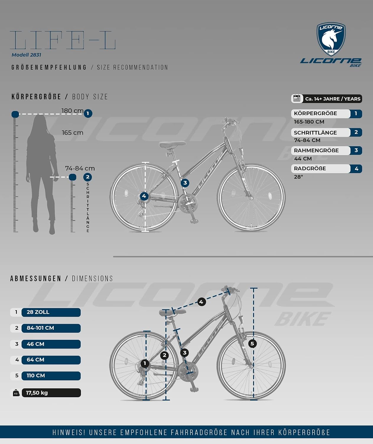 Licorne Bike Premium Trekking Bike in 28 Zoll - Fahrrad für Jungen, Mädchen, Damen und Herren - Shimano 21 Gang-Schaltung - Mountainbike - Crossbike - Life-L-V - Schwarz/Grau