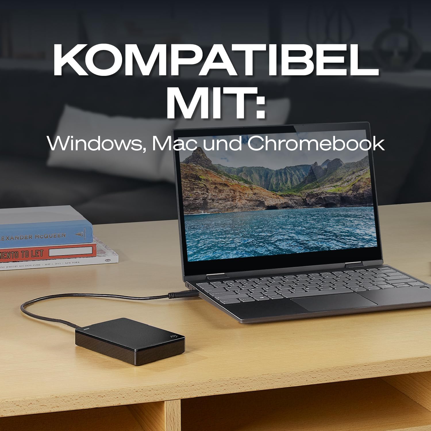 Seagate 2TB Externe Tragbare Festplatte | USB 3.0 (STGX2000400)
