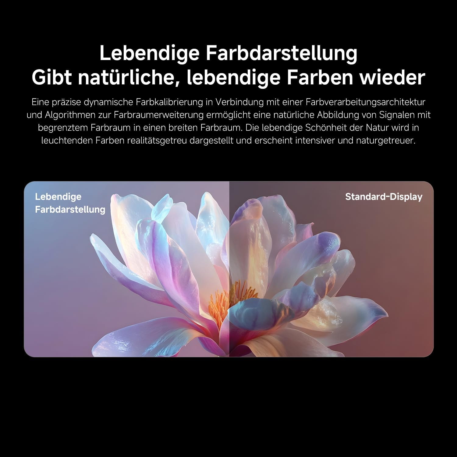 XIAOMI TV FX Mini LED 65" QD Mini LED Smart TV, 4K UHD, Fire TV, HDR10+