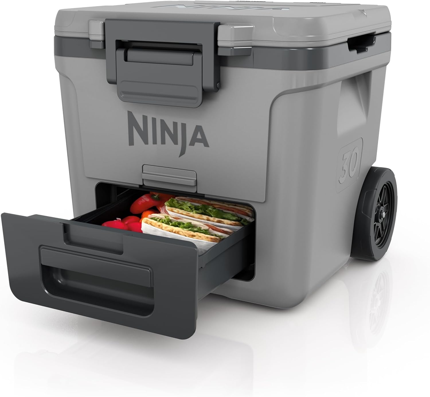 Ninja FrostVault Kühlbox mit Rollen und Isolierung, Schiefergrau, FB230EUGY