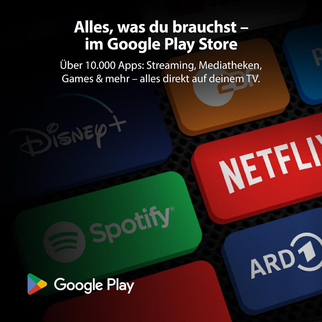 DYON nexGo 24H 24 Zoll HD Smart Fernseher mit Triple Tuner