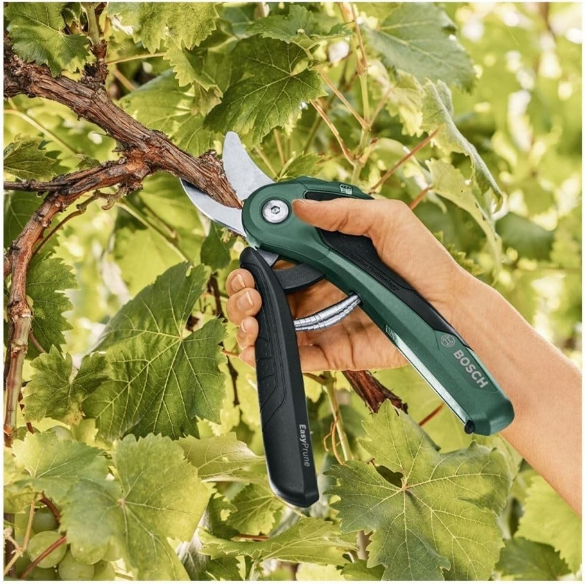 Bosch Home and Garden elektrische Gartenschere EasyPrune (integrierter 3,6 Volt Akku, 450 Schnitte/Akkuladung, im Karton)