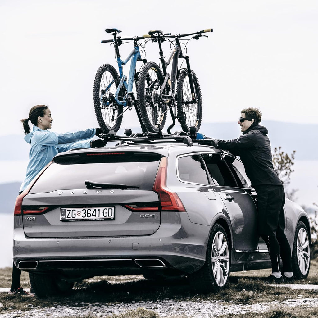 Thule 598001 Fahrräderhalter ProRide, Silber 150 x 23 x 7 cm