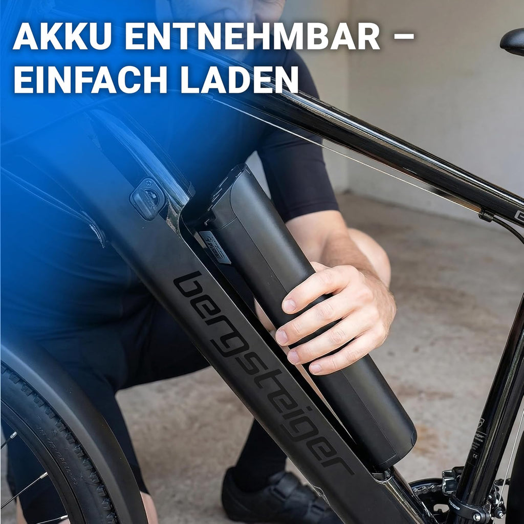Bergsteiger Cannock E-Bike Mountainbike Alurahmen 250 W 24 Gang