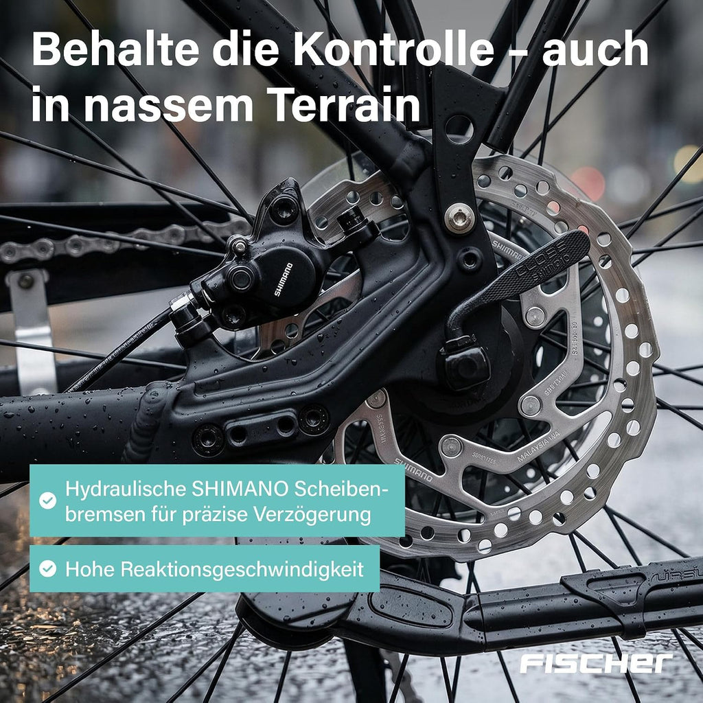 Fischer E-Bike Trekking VIATOR 4.2i Active Electric Bicycle for Men and Women, RH 50, Mid Motor 80 Nm, 36 V Battery