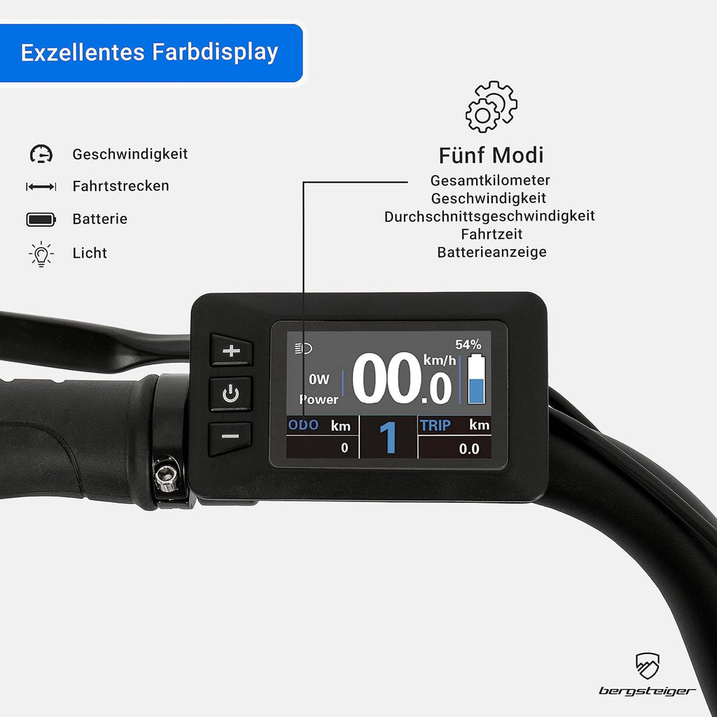 Bergsteiger Hampton 28 Zoll City E-Bike Elektrofahrrad Alurahmen 250 W