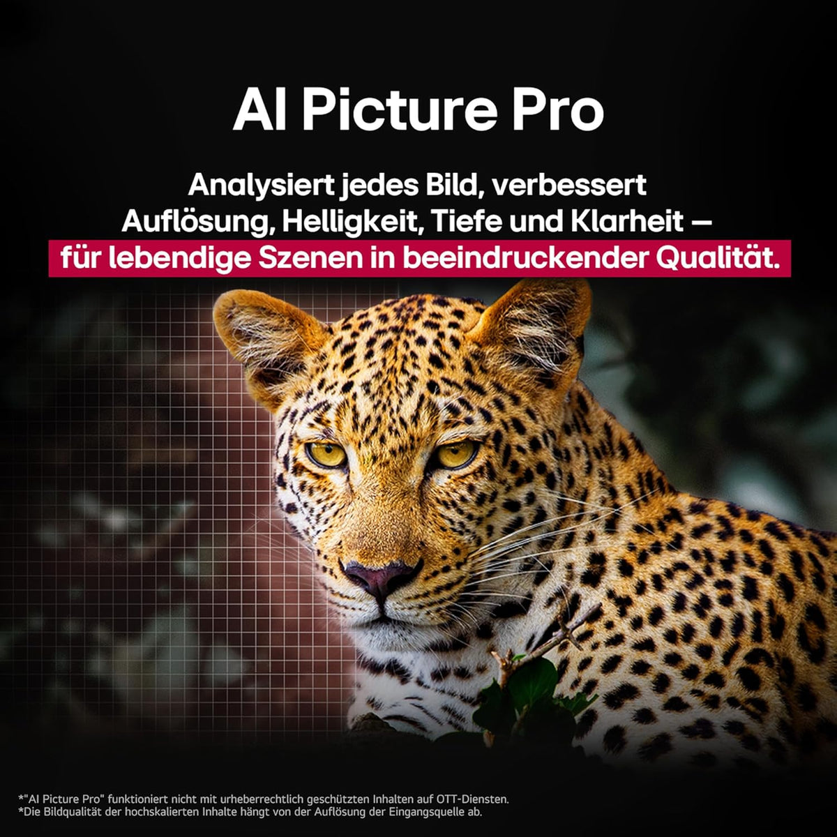 LG OLED65G59LS TV 65 Zoll (165 cm) 4K OLED evo AI TV (α11 Gen2 4K AI Prozessor, webOS 25, 120Hz (VRR bis zu 165Hz)) [Modelljahr 2025]