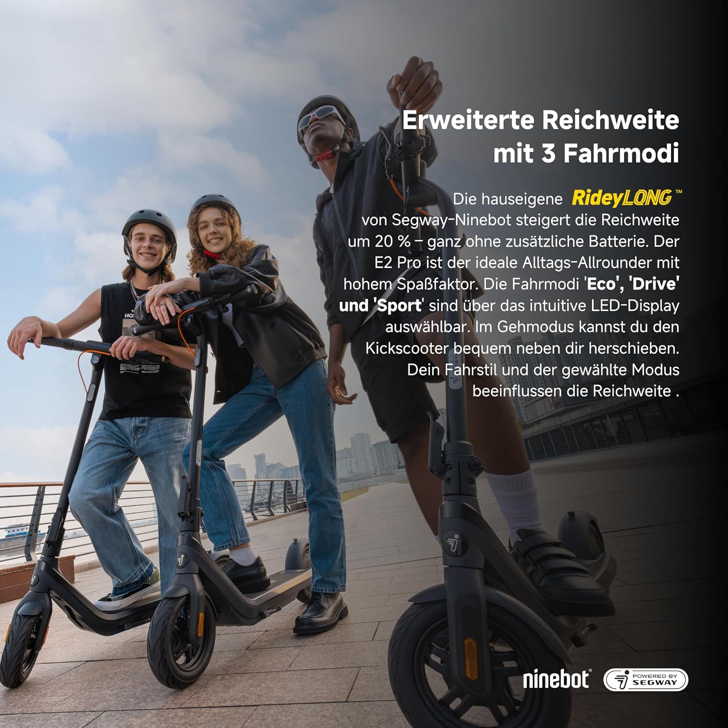 Segway-Ninebot E2 Pro D E-Scooter, 20 km/h, bis zu 35 km Reichweite, 275 Wh Akku, 10 Zoll schlauchlose Luftreifen, TCS, Dual-Bremssystem, LED-Display, faltbar, Schwarz