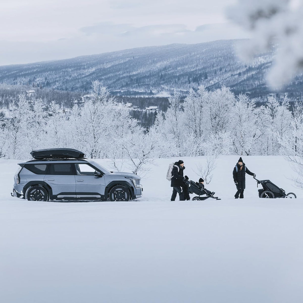 Thule Motion 3 XXL titan glossy