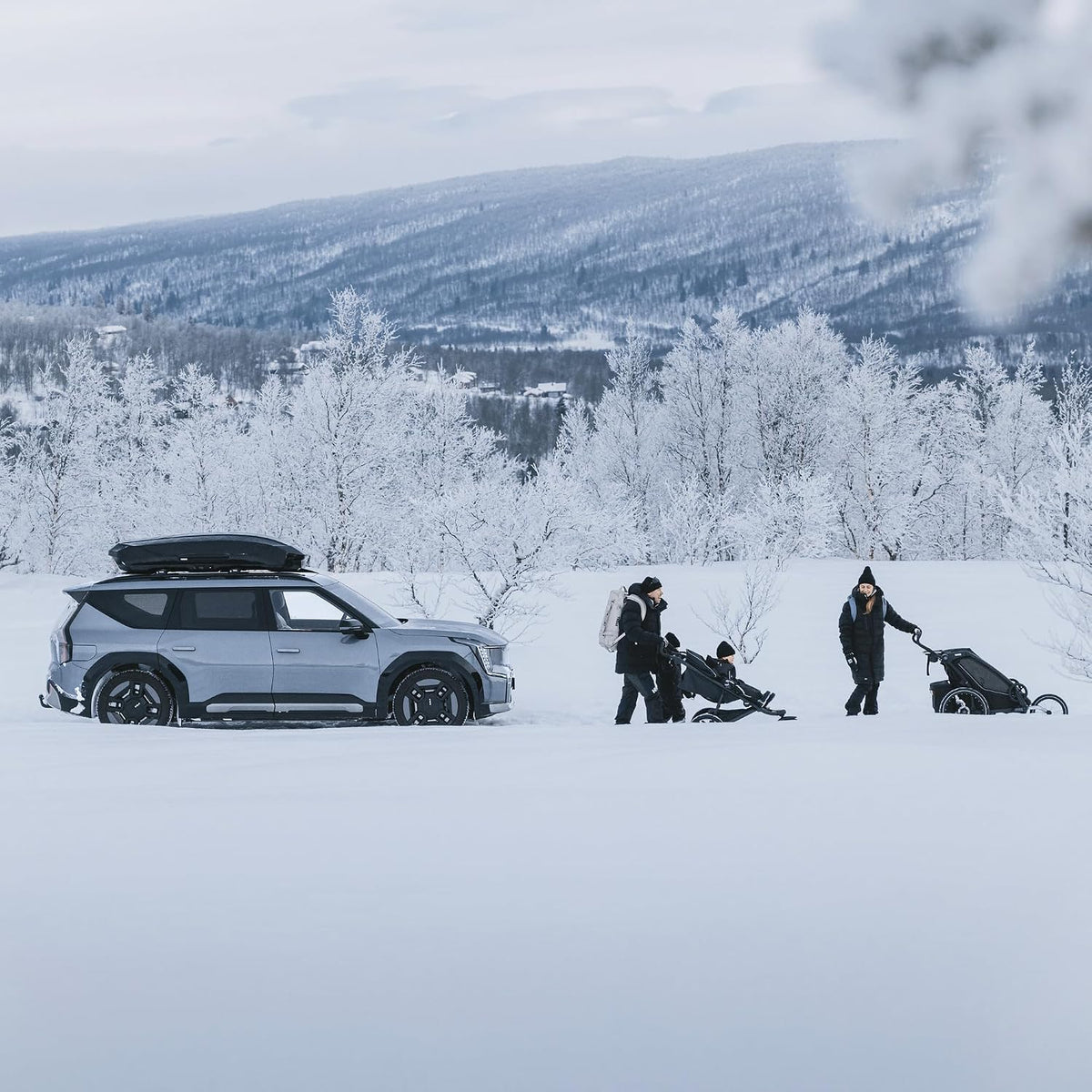 Thule Motion 3 XL titan glossy