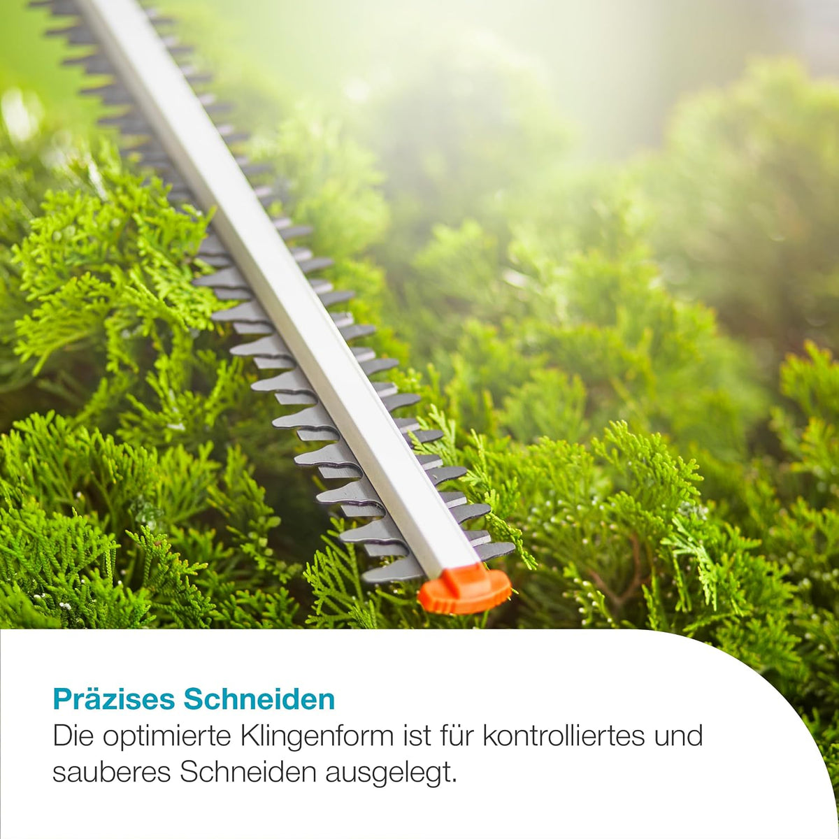 Gardena Akku-Teleskop-Heckenschere THS 42/18V P4A Ready-to-Use Set: Teleskopgriff, Reichweite bis 3 m, 42 cm Messer, Abwinkelbarer Kopf, Kabellos (14732-20)