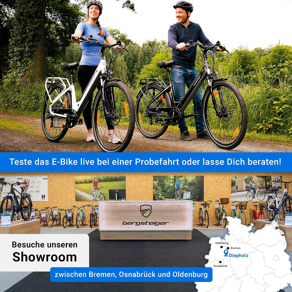 Bergsteiger Hampton 28 Zoll City E-Bike Elektrofahrrad Alurahmen 250 W