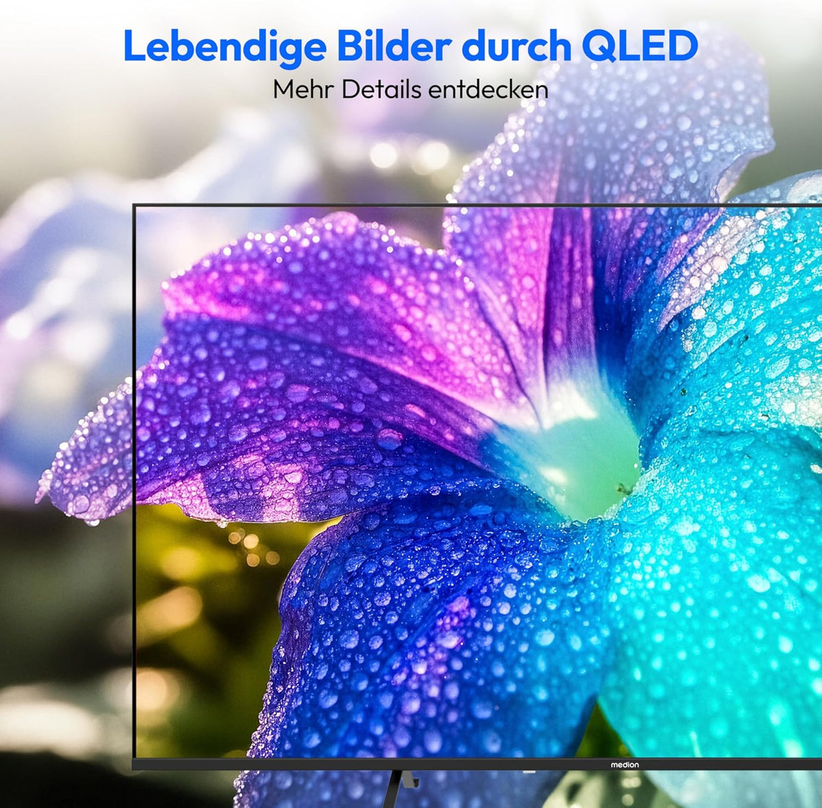 MEDION 125,7 cm (50 Zoll) QLED Fernseher (Smart-TV, Dolby Vision HDR, HBO Max, MagentaTV, Prime Video, Disney+, DAZN, Paramount+, Dolby Atmos, VIDAA Store, PVR, Bluetooth, MD 850602)
