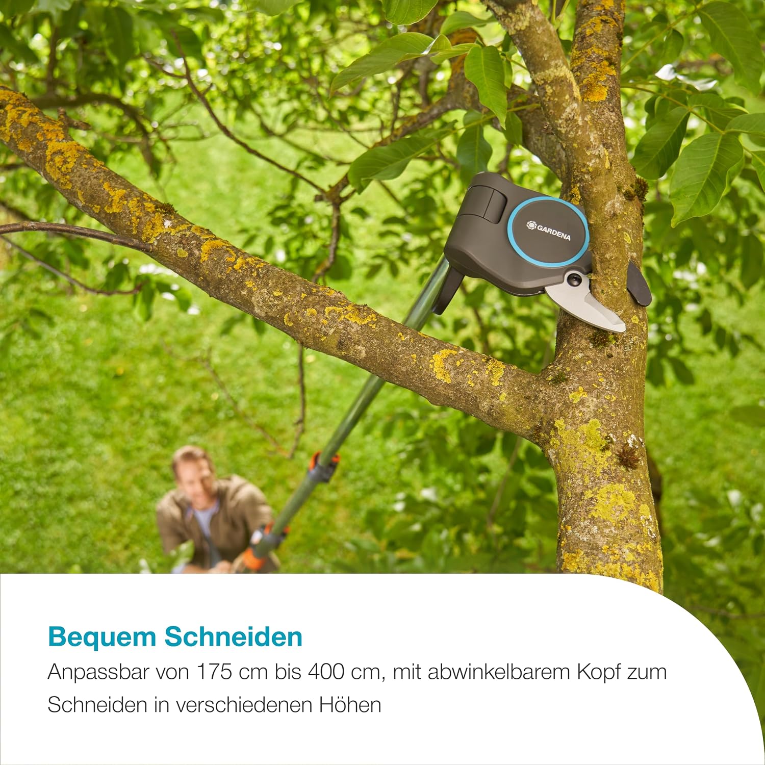 Gardena StarCut Pro L, Baum- und Strauchschneider, Bypass-Schnitt, Teleskopierbar, 175–400 cm Reichweite, Qualitätsstahl-Klingen mit PowerCoating, für Äste bis 32 mm (12081-88)