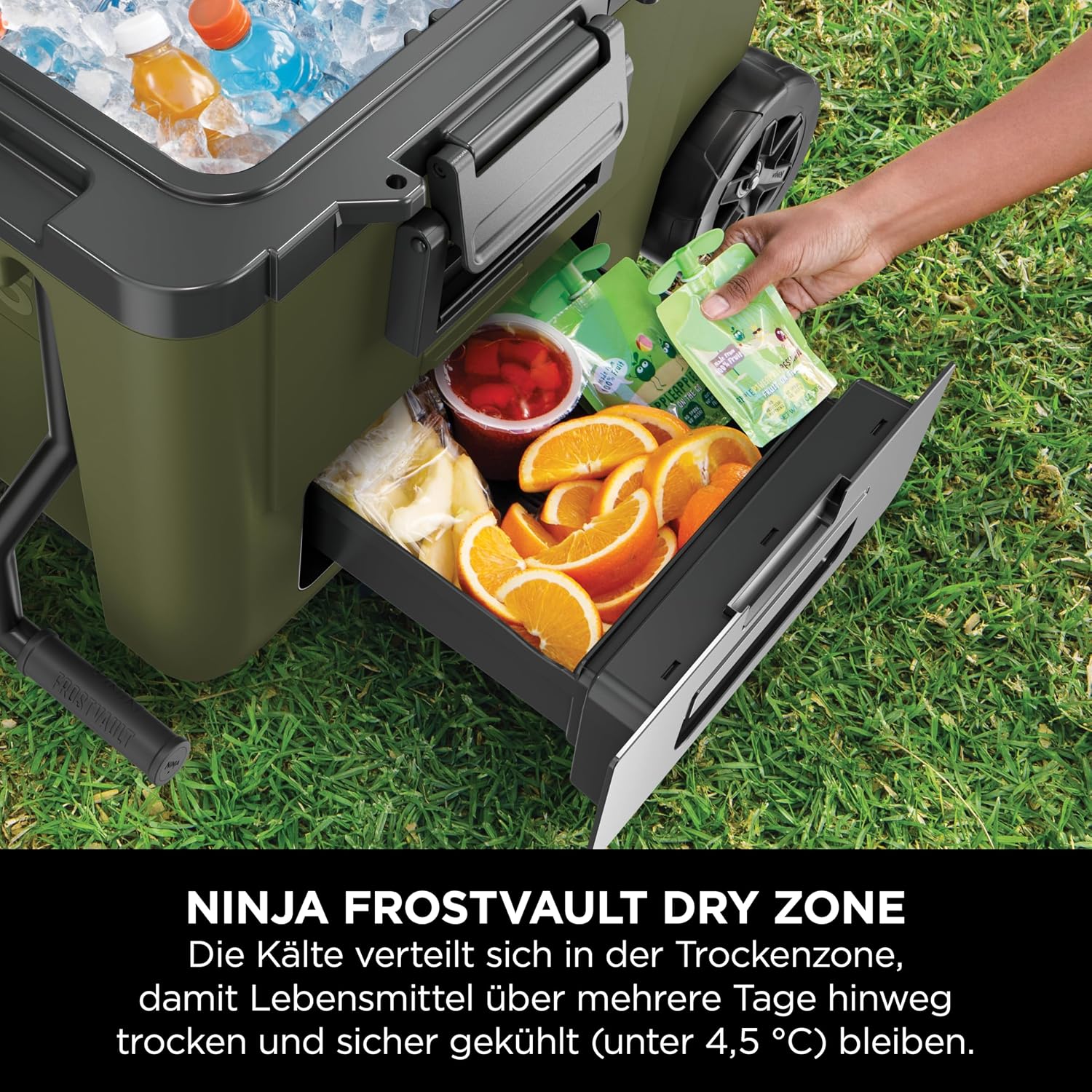 Ninja FrostVault Kühlbox mit Rollen und Isolierung, FB245AMZEUUKGN