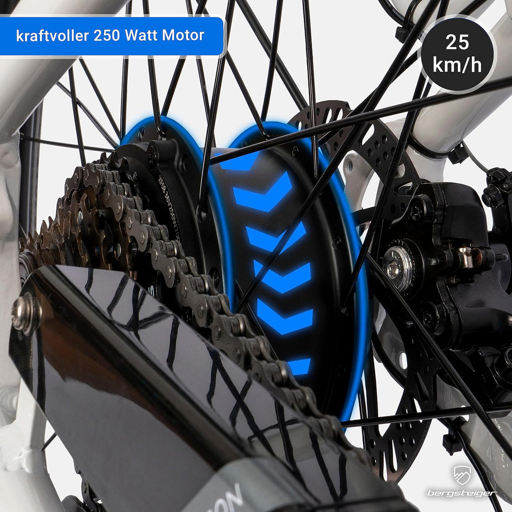 Bergsteiger Hampton 28 Zoll City E-Bike Elektrofahrrad Alurahmen 250 W