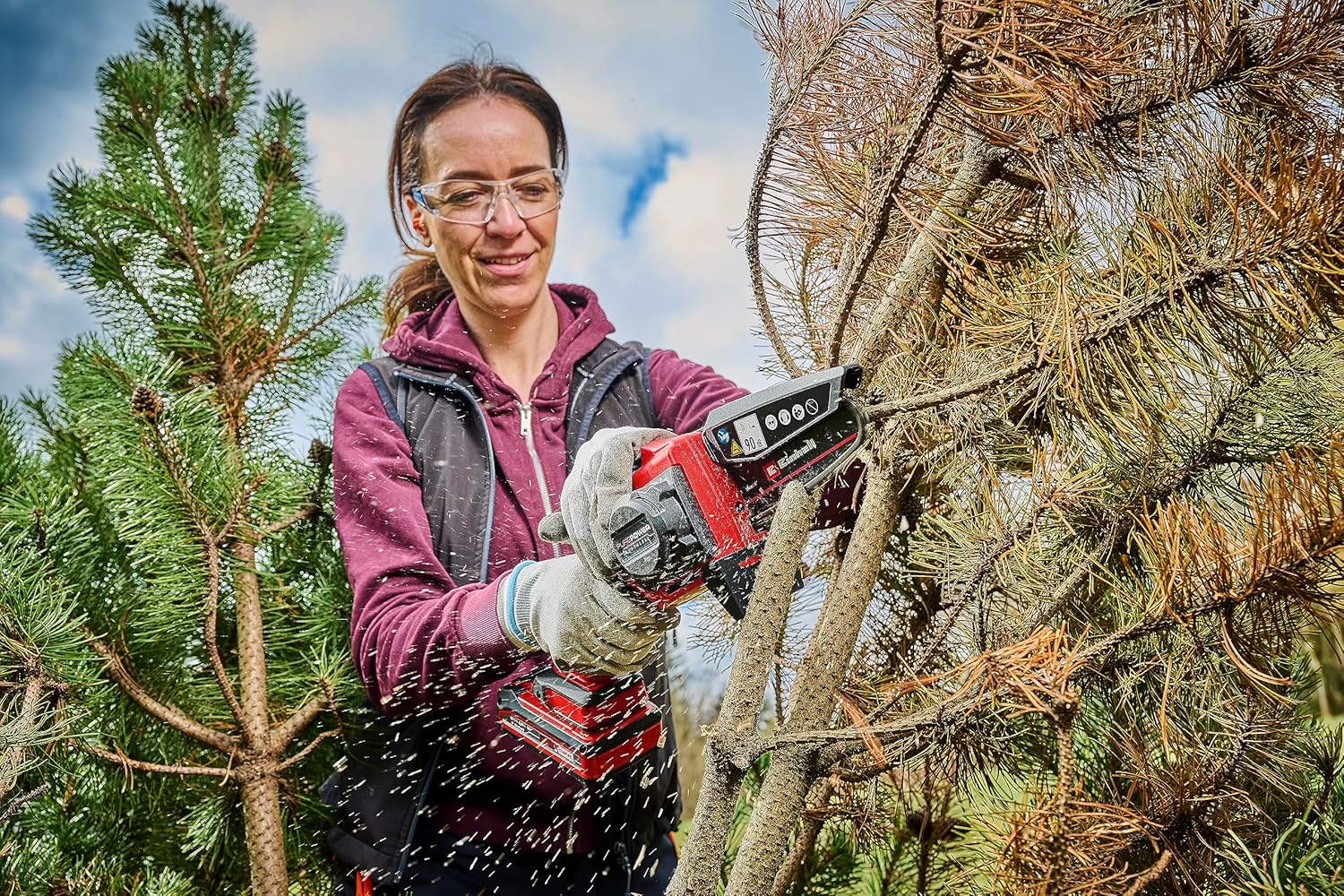 Einhell Akku-Astkettensäge GE-PS 18/15 Li BL Kit Power X-Change (18 V, Brushless, 12,5 cm Schnittlänge, werkzeugloser Schwert-/Kettenwechsel, inkl. 2,5 Ah Akku, Ladegerät, E-Case S-F)